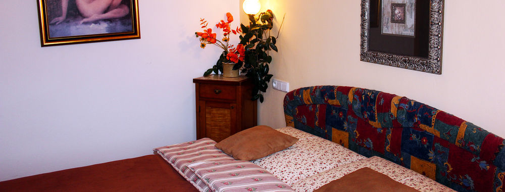 Wellness Pension Ametyst Český Krumlov Exteriör bild